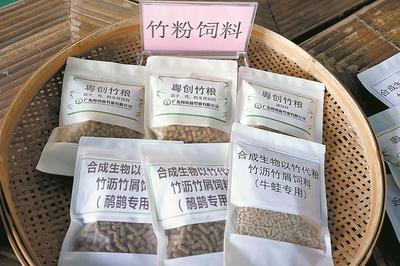 清遠英德西牛鎮 打造“以竹代塑”“以竹代糧”綠色產業，推動生物飼料研發