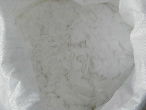 蓋州片堿出廠價(jià)格波動(dòng)原因及其對(duì)生物飼料研發(fā)的影響